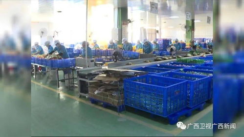 雙十一掀起年底消費熱潮，食品銷售表現(xiàn)亮眼