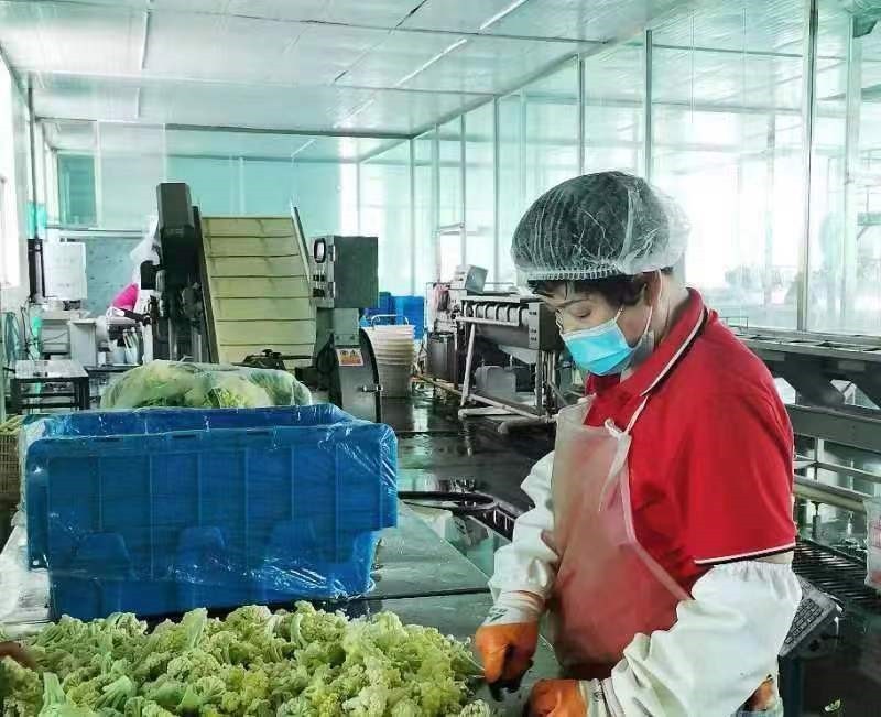 中國人壽財險推出預制菜專屬定制服務(wù)——以食品安全護航產(chǎn)業(yè)高質(zhì)量發(fā)展